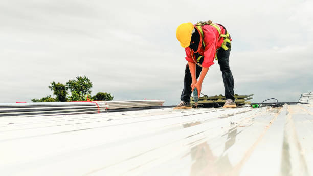 Roof Insulation in La Cienega, NM