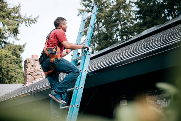 Best Metal Roofing Installation  in La Cienega, NM