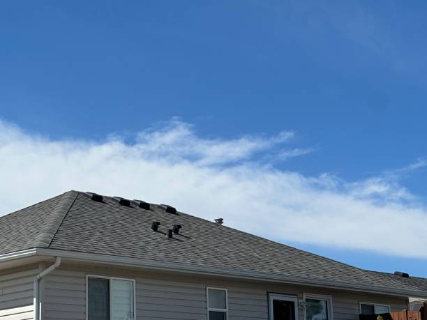 Best Roof Leak Repair  in La Cienega, NM